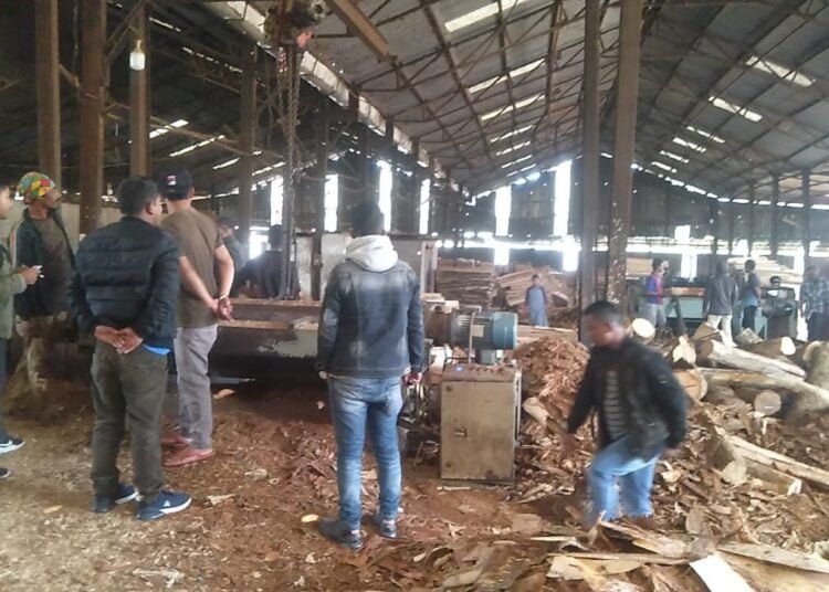 HANM detects ‘underage’ labourers at Umiam industrial zone