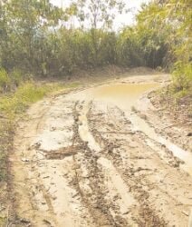 CM urged to pursue with Centre on Sonapur-Borkhat road project