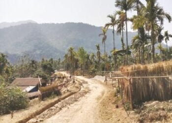 East Jaiñtia village left ailing, no one to help