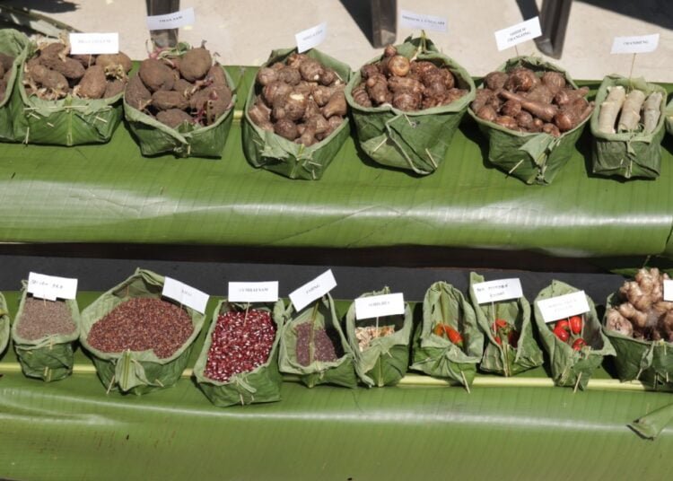 Community seed fair held in Nongtraw