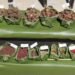 Community seed fair held in Nongtraw