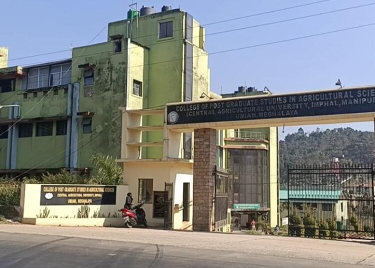 Temporary dean appointed at CAU following sexual molestation case