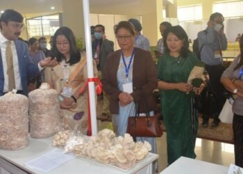 Export promotion conference-cum-buyer seller meet held in Shillong