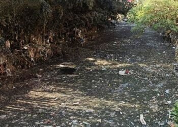 Green-tech foundation draws attention of filth in Umkhrah