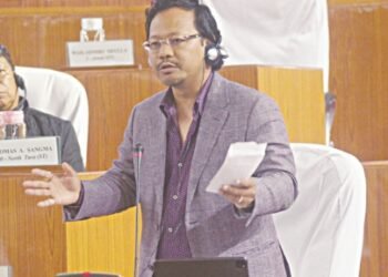 MeECL had to accept central loan because of Congress negligence: James