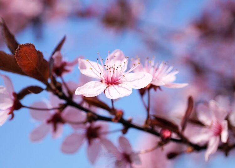 With 53 festivals, no data on tourist footfalls