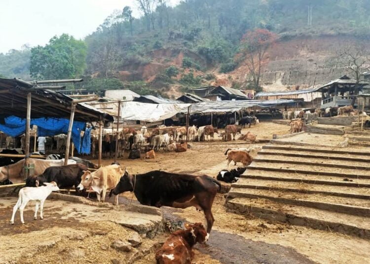 Raid Marwet denies allegations made by cow protection body