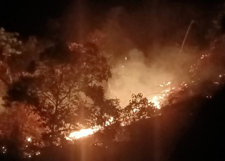 Ri-Bhoi forum expresses concerns over forest fires