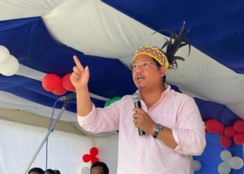 NPP will get absolute majority: Conrad