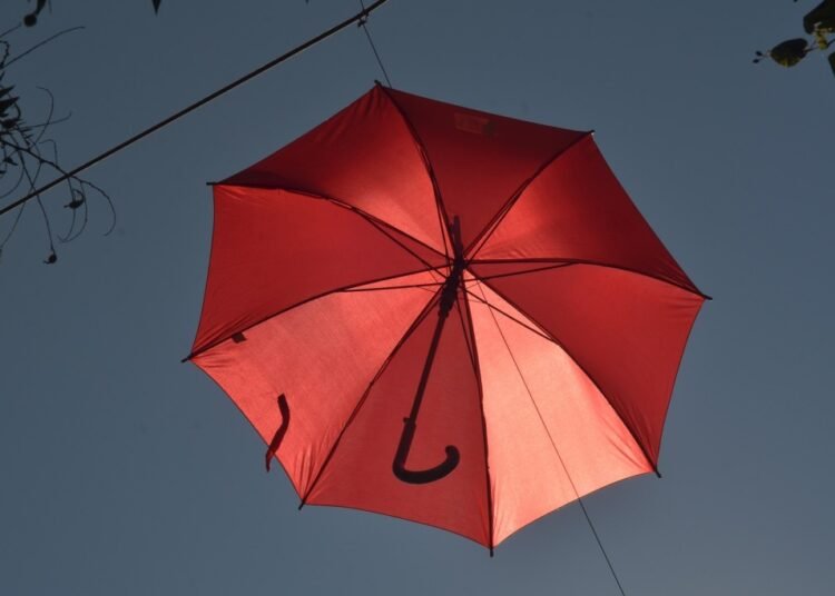 Sex workers condemn MLAs’ ‘humiliating’ comments, demand decriminalisation