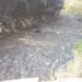 Wahumkhrah cries out for concerted effort to make it clean