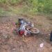 3 youth injured after skidding off road