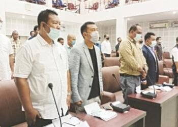 NPP bought support to form GHADC exec committee: Zenith