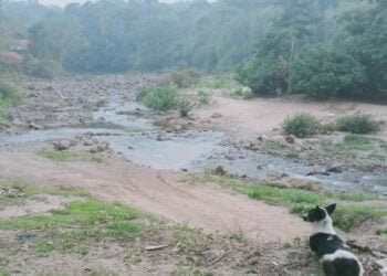 Drying Garo Hills rivers raise spectre of environmental degradation