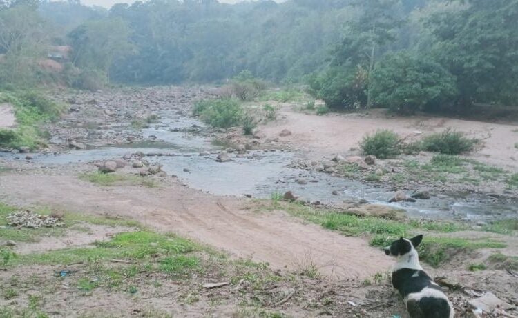 Drying Garo Hills rivers raise spectre of environmental degradation