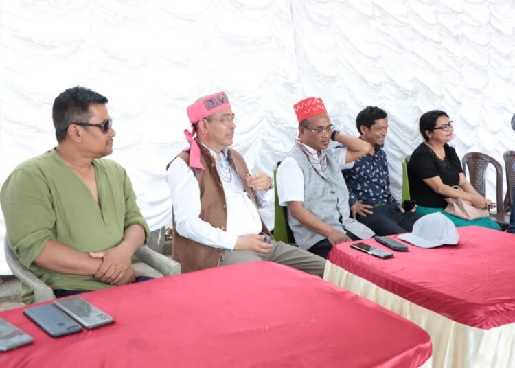 NCP could support UDP candidate in Tura