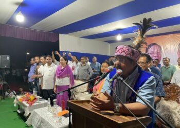 Conrad rally on Mukul turf, says NPP to win 20 plus seats