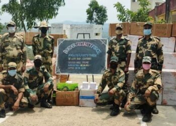 Smuggled goods seized by BSF