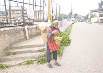 Distressed farmer’s plight a worrying tale