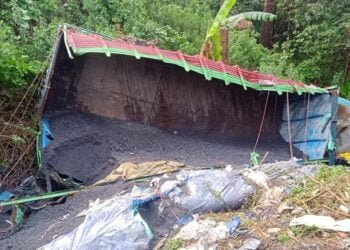 Coke transportation on amid pandemic