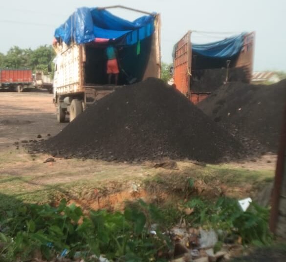 Laws deliberately bypassed to allow coal transport