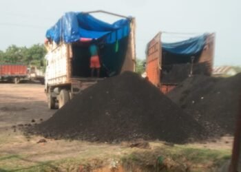 Laws deliberately bypassed to allow coal transport