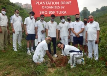 Plantation Drive