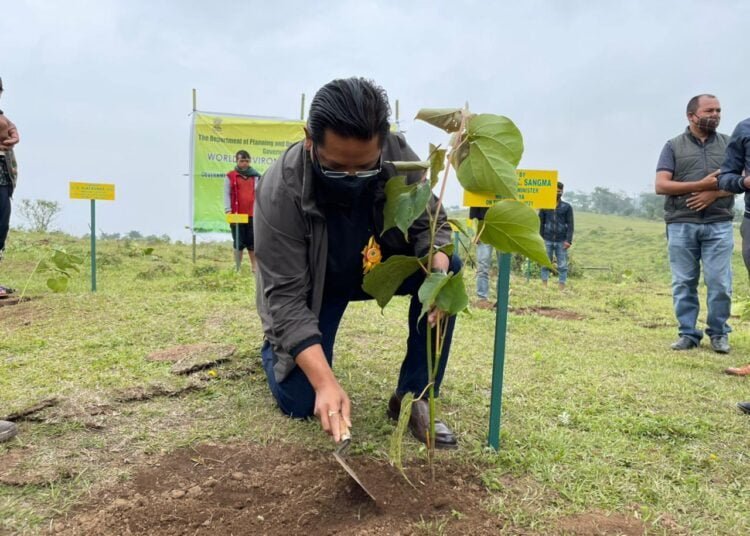 CM urges people to add 500 sq km of forest cover in State