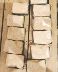 Drugs, cash seized by police; 2 arrested