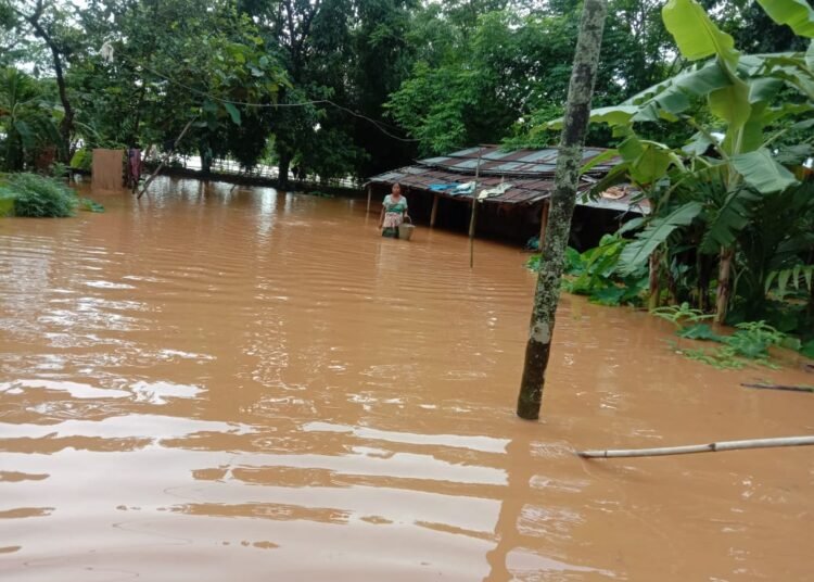 Flood waters recede in Tikrikilla but still above danger mark