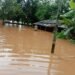 Flood waters recede in Tikrikilla but still above danger mark