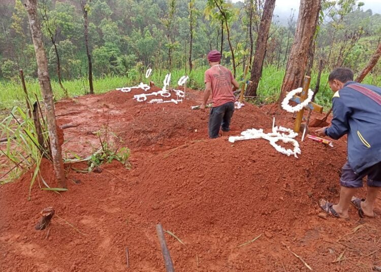 5 from family dead, 1 critical after eating wild mushrooms