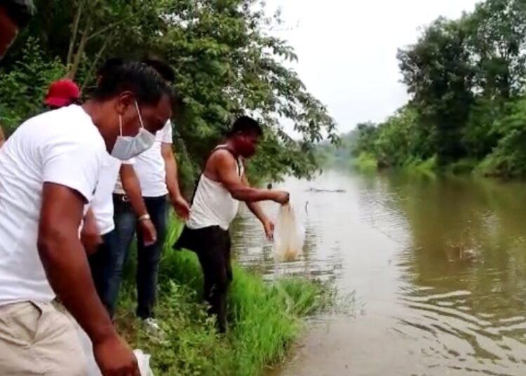 Ri-Bhoi group celebrate World Environment Day