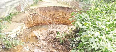 Angst over lack of devp in Williamnagar