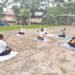 International Yoga Day celebrated in state