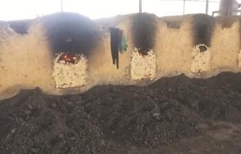 East Jaintia body decries pollution by illegal coke plants