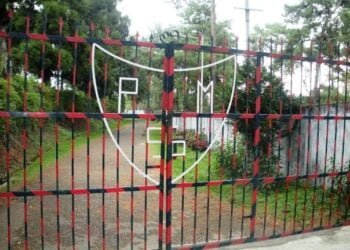 Pine Mount School scores cent per cent pass percentage