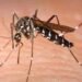 14 Zika virus cases confirmed in Kerala