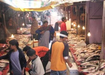 Meat, fish shops in Ïewduh to reopen