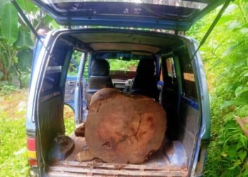 Van with illegal timber seized in NGH