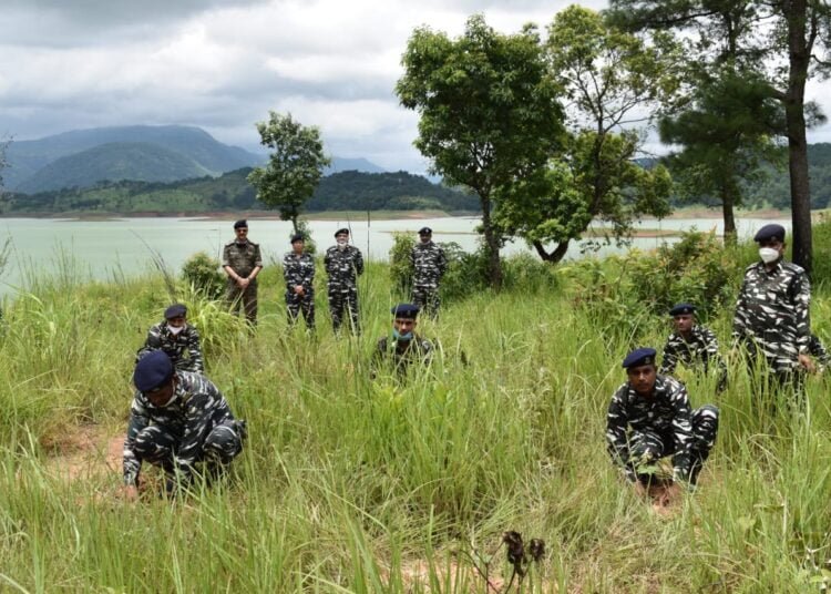 CRPF joins in Centre’s tree plantation drive