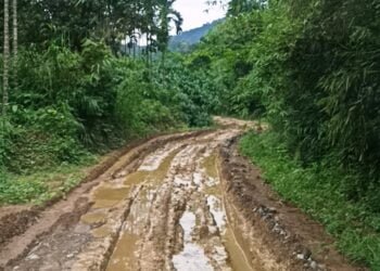 Border villagers miffed over delay by NEC to approve Borkhat road project