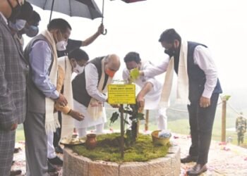 ‘80 pc of Sohra land to be planted with trees’