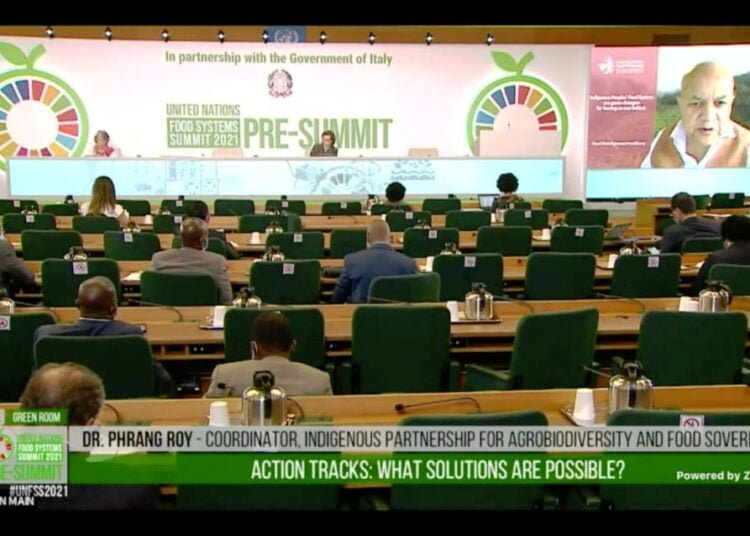 NESFAS founder addresses UN meeting on food systems