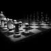 Online chess championship on July 17