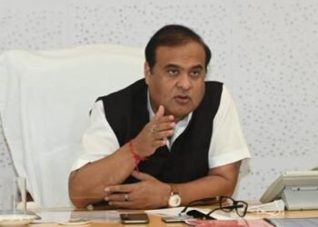 Assam to go for artificial insemination to get only cows, no bulls: CM