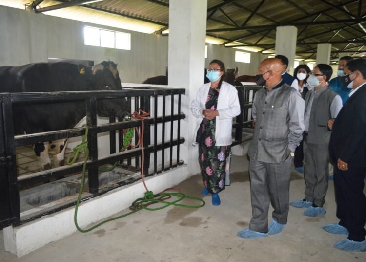 Sanbor inaugurates Animal Husbandry projects