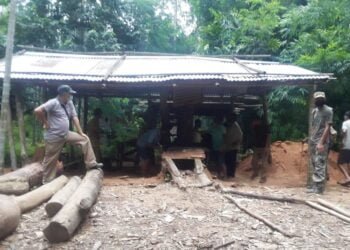 Illegal saw mill dismantled, timber and machineries seized