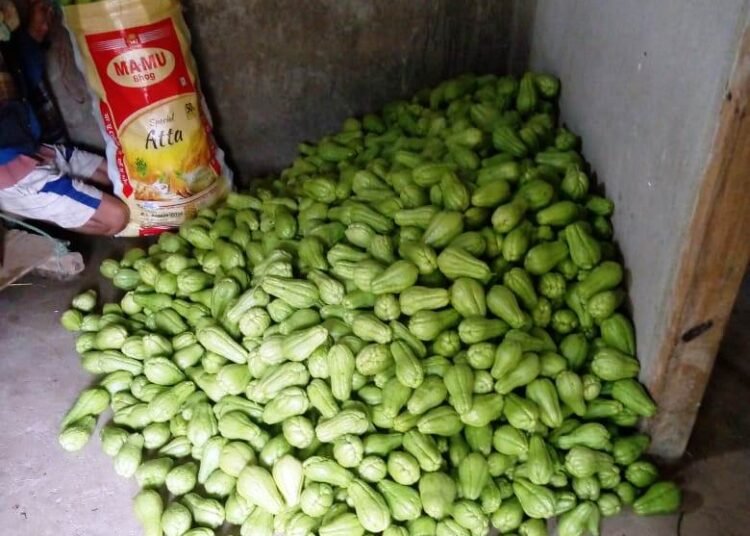 Farmers suffer as chayote price drops to Rs 2