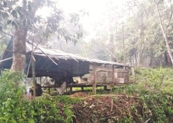 Kyrdum villagers stand guard against intrusion by Assam